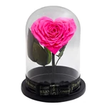 Búrába zárt szív alakú pink örökrózsa