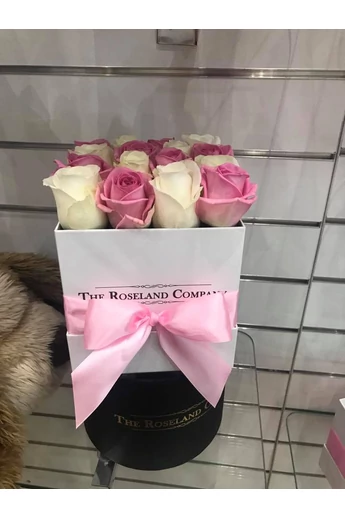 Fehér_kocka_rózsaszín_fehér