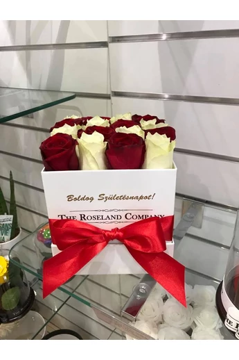 Boldog_születésnapot_kocka