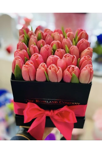 Fekete_kocka_tulipán Fekete_kocka_tulipán