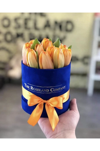 minibársony_henger_tulipán minibársony_henger_tulipán