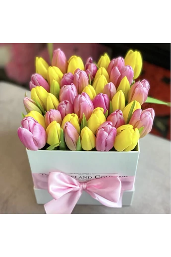 Feher_kocka_tulipán