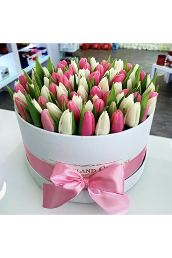 nagy_henger_tulipán nagy_henger_tulipán