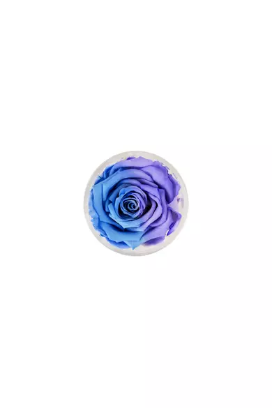 bicolor kék-lila