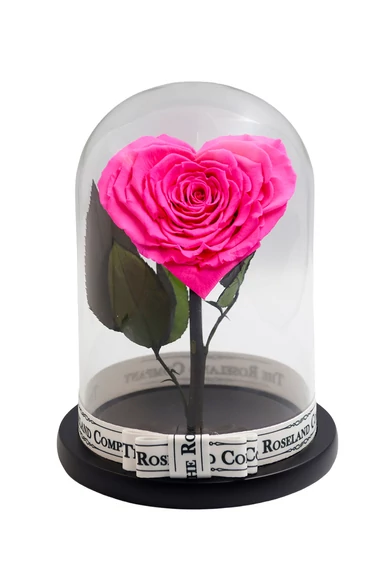 Búra-örök-rózsa-pink-szív