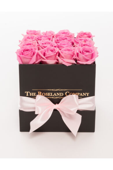 Fekete kocka doboz, ÉLŐ rózsaszín rózsa
