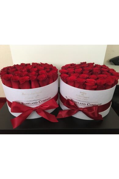 Fehér nagy henger doboz, ÉLŐ vörös rózsa (51-70 szál rózsával)