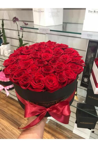 Fekete nagy henger doboz, ÉLŐ vörös rózsa (51-70 szál rózsával)
