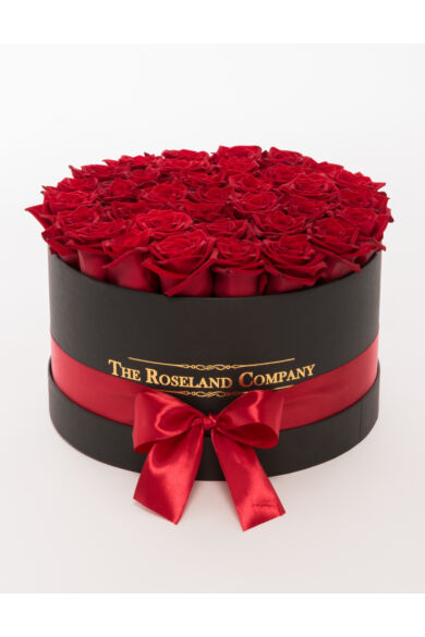 Fekete nagy henger doboz, ÉLŐ vörös rózsa (51-70 szál rózsával)