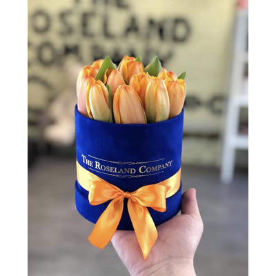 Tulipánboxok